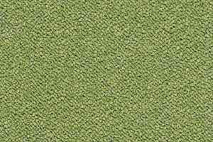 Ковровая плитка Forbo Tessera Chroma 3617 Botanical фото  | FLOORDEALER
